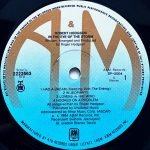 Roger Hodgson – In The Eye Of The Storm LP Plak - Görsel 3