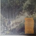 Sandalwood – Sandalwood LP Plak - Görsel 2