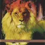 David Solid Gould Vs Bill Laswell – Dub Of The Passover CD