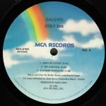 Steely Dan – Gaucho LP Plak - Görsel 3