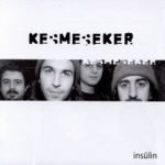Kesmeşeker – İnsülin CD