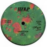 Central, Ask Your Hands – Gratitude 12'' Maxi Single Plak (Deep House / Ambient)