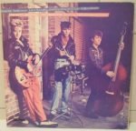Stray Cats – Rant N' Rave With The Stray Cats LP Plak - Görsel 2