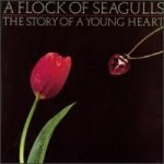 A Flock Of Seagulls – The Story Of A Young Heart LP Plak