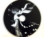 Xiu Xiu – Women As Lovers CD + DVD - Görsel 4