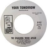 The Spaulding Wood Affair – Something About You 45lik Plak - Görsel 2