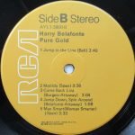 Harry Belafonte – Pure Gold LP Plak - Görsel 4
