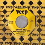 Eugene Pitt – Another Rainy Day 45lik Plak (Rhythm & Blues)