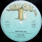 Sarah Jeen – What Did I Do 12'' Maxi Single Plak - Görsel 2