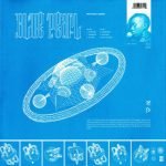 Blue Pearl ‎– Mother Dawn 12'' Maxi Single Plak (Electronic) - Görsel 2