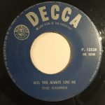 The Sabres ‎– Roly Poly 45lik Plak (Rock 'n Roll) - Görsel 2