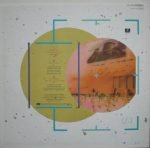 Duran Duran – The Wild Boys 12'' Maxi Single Plak - Görsel 2
