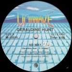 Geraldine Hunt – Can't Fake The Feeling 12'' Maxi Single Plak - Görsel 2