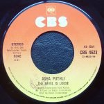 Asha Puthli – The Devil Is Loose 45lik Plak - Görsel 2