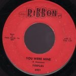 Fireflies – You Were Mine 45lik Plak (Rock 'N Roll)
