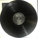 John Foxx – The Garden LP Plak - Görsel 4