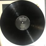 John Foxx – The Garden LP Plak - Görsel 3