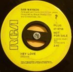 Sam Waymon ‎– Hey Love 45lik Plak