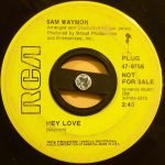 Sam Waymon ‎– Hey Love 45lik Plak