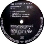 The Sisters Of Mercy – Floodland LP Plak - Görsel 4