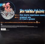 The Mighty Dub Katz – Just Another Groove 12'' Maxi Single Plak (House) - Görsel 2