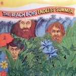 The Beach Boys – Endless Summer 2LP Plak