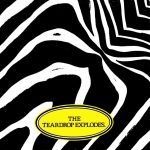 The Teardrop Explodes – Reward 45lik Plak