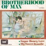 Brotherhood Of Man – Sugar Honey Love 45lik Plak