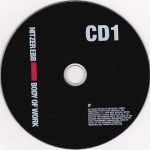 Nitzer Ebb – Body Of Work 2CD - Görsel 3