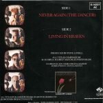 A Flock Of Seagulls – Never Again (The Dancer) 45lik Plak - Görsel 2
