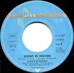 A Flock Of Seagulls – Never Again (The Dancer) 45lik Plak - Görsel 4
