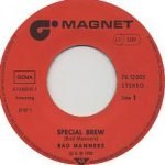 Bad Manners – Special Brew 45lik Plak
