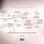 AmmonContact – With Voices LP Plak - Görsel 2