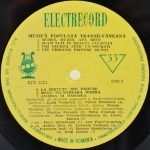Muzică Populară Transilvăneană LP Plak - Görsel 3