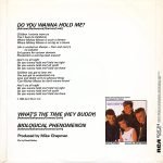 Bow Wow Wow – Do You Wanna Hold Me? 12'' Maxi Single Plak - Görsel 3