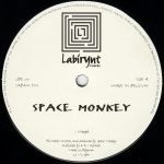 Space Monkey – Morph 12'' Maxi Single Plak (Techno) - Görsel 4
