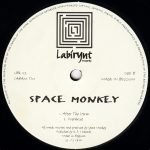 Space Monkey – Morph 12'' Maxi Single Plak (Techno) - Görsel 3