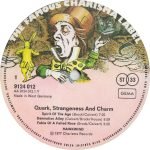 Hawkwind – Quark, Strangeness And Charm LP Plak - Görsel 3