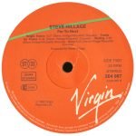 Steve Hillage – For To Next LP Plak - Görsel 4