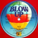 Yazz – Stand Up For Your Love Rights 12'' Maxi Single Plak - Görsel 2