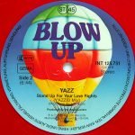 Yazz – Stand Up For Your Love Rights 12'' Maxi Single Plak - Görsel 4