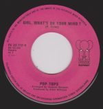 Pop Tops ‎– My Little Woman 45lik Plak - Görsel 2