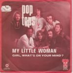 Pop Tops ‎– My Little Woman 45lik Plak