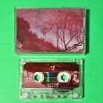 Rain To Rust – Stillborn Flowers Kaset (Goth)