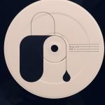 Jean-Jacques Perrey & Luke Vibert – Moog Acid 2LP Plak - Görsel 5