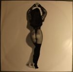 Cher – Cher's Greatest Hits: 1965-1992 2LP Plak - Görsel 2