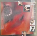 Love And Money – Dogs In The Traffic LP Plak - Görsel 2
