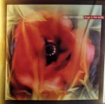 Love And Money – Dogs In The Traffic LP Plak