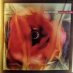 Love And Money – Dogs In The Traffic LP Plak