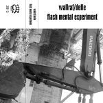 Wallraf/Delle, Flash Mental Experiment – Split Kaset (Noise) - Görsel 2
